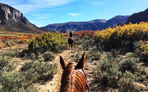 mountain view horse trails